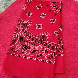 Red Bandana with Paisley Design